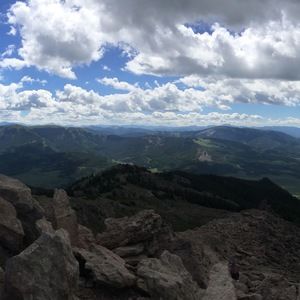 Meet your Posher, Sophie